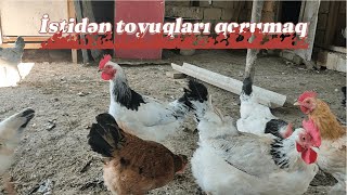 Uzun sochli porno yigit