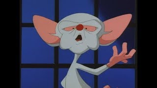 Animaniacs - Pinky And The Brain Umnik Intro Russian 2003