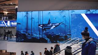 Sneak Peek at Climate Pledge Arena's Digital Content