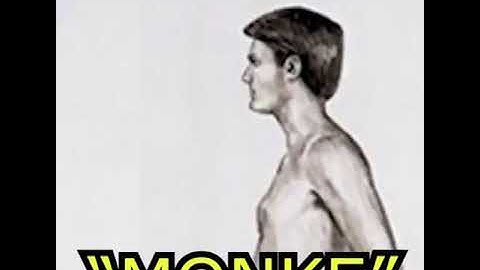 go back I want to be monke