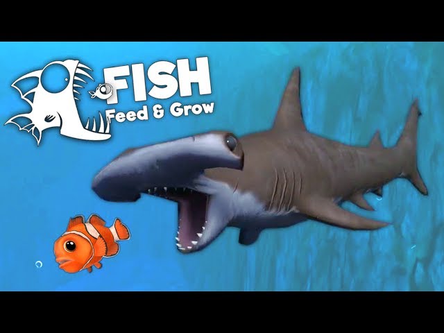 SHARK BODYGUARD - Feed and Grow Fish ONLINE MULTIPLAYER - Part 17