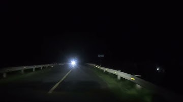 trải nghiệm đêm tại rừng Đước Cà Mau