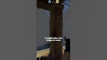 You need to know this about reaction time