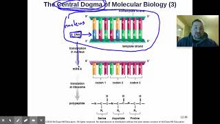 AP Biology Sec 12.3 - RNA & The Genetic Code