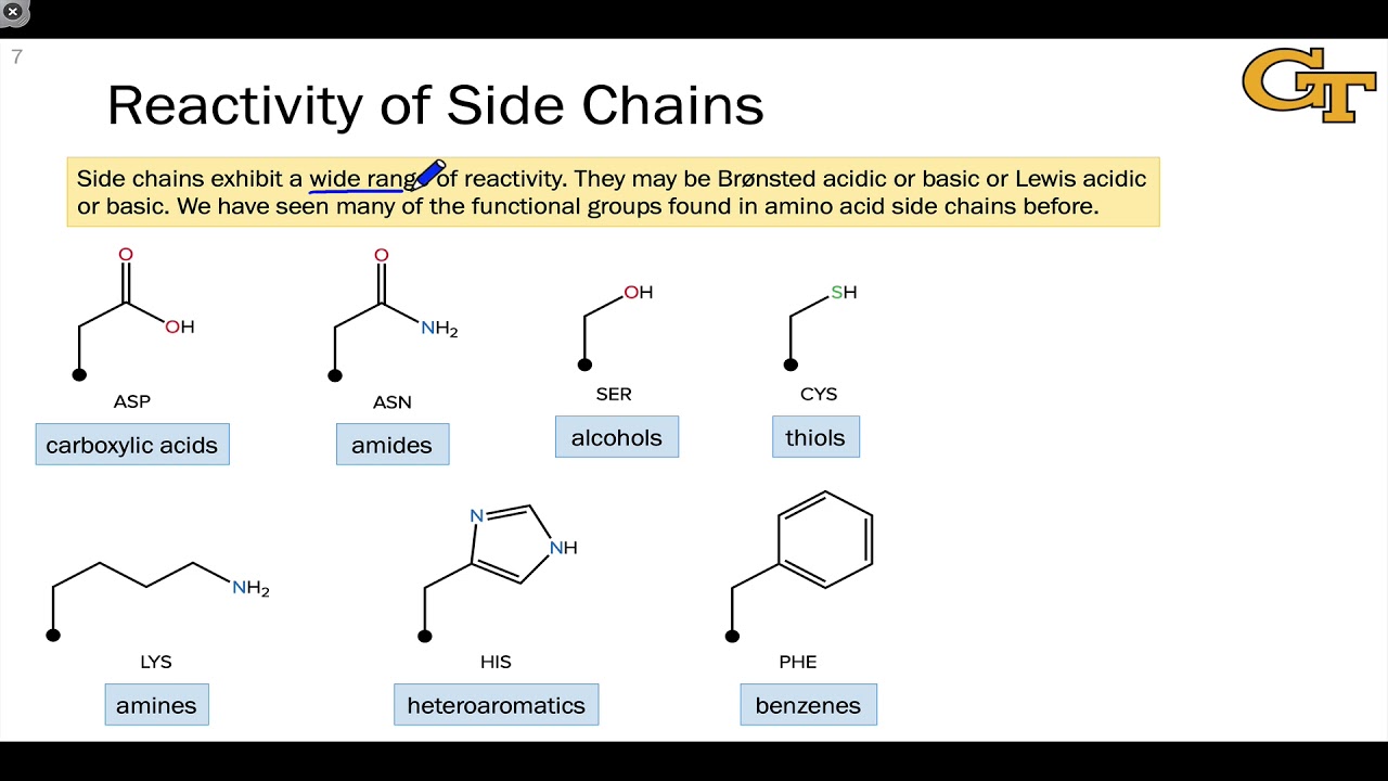 General Reactivity of Amino Acids YouTube