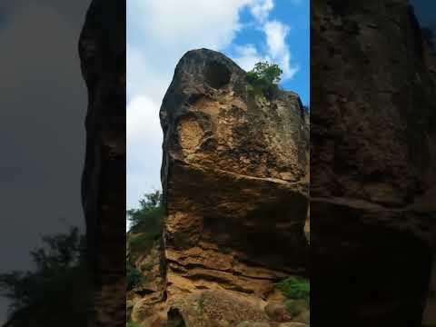 تفسير مجسم رأس السلحفاة التكنيزي أسرار الدفائن والكنوز في علم الإشارات اكسبلور