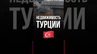 Почему турецкий рынок рухнул для иностранцев - но внутри всё живёт
