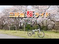 三好池桜ライド