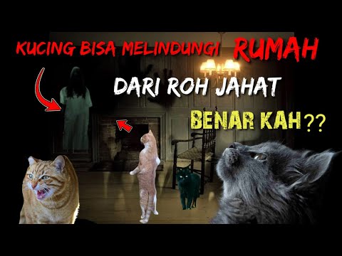 Video: Bagaimana Kucing Merasakan Energi Negatif Di Rumah? - Pandangan Alternatif