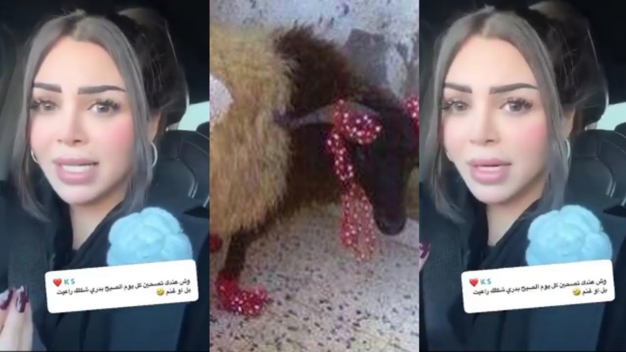 رهف القحطاني:يا ليتني راعية غنم، على الأقل فيها فلوس اشتري ذبيحتين في الشهرأدفع عليها حول3 الالف