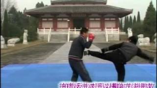 学习散打/散手- 散打教程/教学 1- Sanshou Tutorial 1 (Chinese Language).