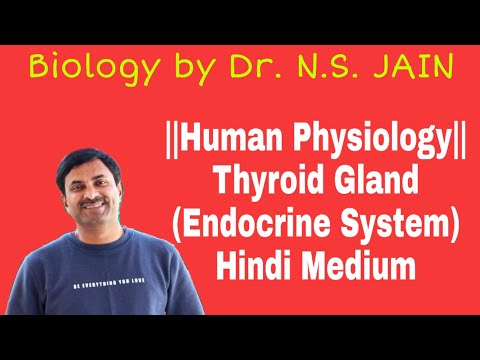 Thyroid Gland (Endocrine System) |  Hindi Medium
