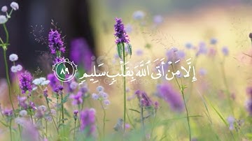 {يَوْمَ لَا يَنفَعُ مَالٌ وَلَا بَنُونَ}سورة الشعراء[الاية 88]