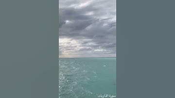 ‏﴿وَفِي الأَرضِ آياتٌ لِلموقِنينَ﴾ | تلاوة خاشعة | الشيخ صالح الطوالة