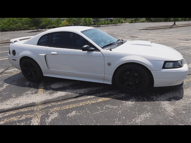 My 2004 Mustang GT Review! 🤔 (LOUD POV DRIVE) - YouTube