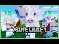 【Minecraft】マイクラ研修!初心者2人に基礎を叩き込む!!!【#3me/のりプロ所属】