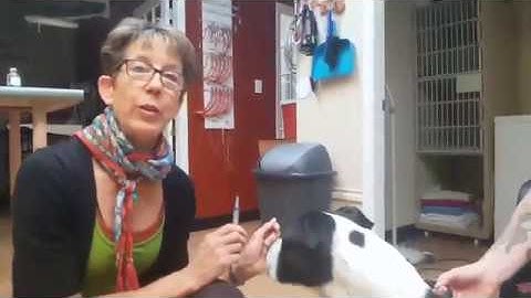 How to Give Subcutaneous Injections at Home