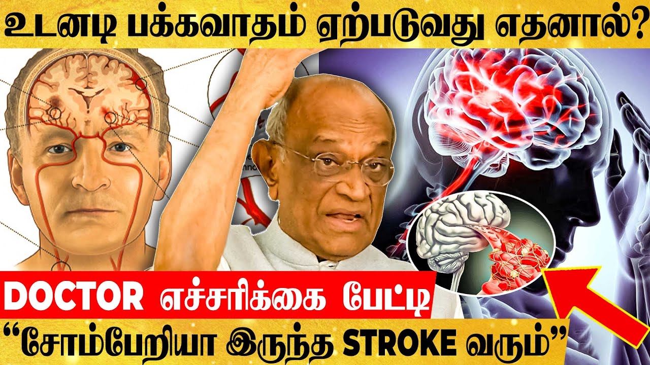 மனித மூளையில் இவ்ளோ விஷயமா!! கண்டிப்பா தெரிந்துகொள்ள வேண்டிய Health Tips - Dr Bakthavatchalam பேட்டி