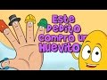 Descargar ESTE DEDITO COMPRÓ UN HUEVITO. Canciones Infantiles - toycantando Descargar ESTE DEDITO COMPRÓ UN HUEVITO. Canciones Infantiles - toycantando