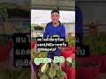 19 พฤษภาคม 2026 Ep.19 #ทุเรียน #durian #ai #fruit #ทุเรียนจันทบุรี #ทุเรียนหมอนทอง