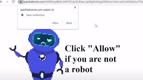 Pashkahome.com Pop-up Ads Removal Guide