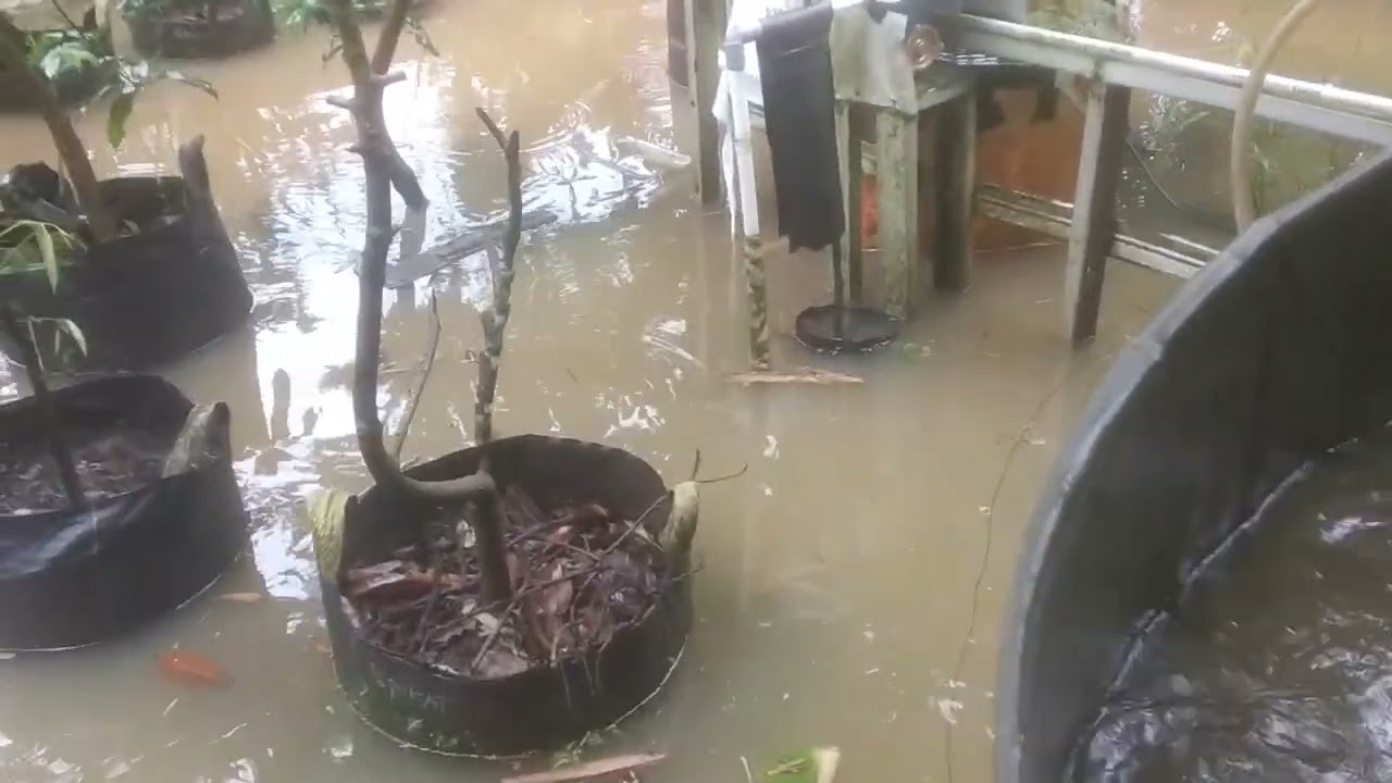 8 Maret 2026 banjir maning... 😩😩😩