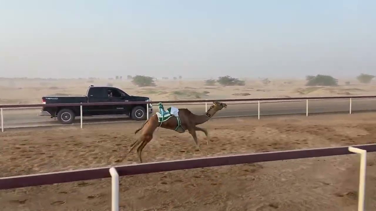 ٥- شريان / محمد بن حارب الخاصوني ٢:٢١