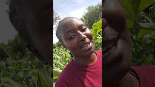 Life career change and farm update #farming #farmer