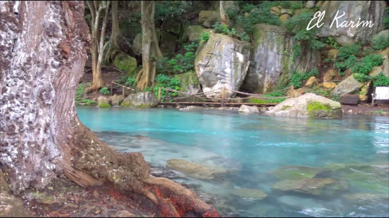 Laguna de Nogales, Veracruz. Un pequeño paraíso natural. YouTube