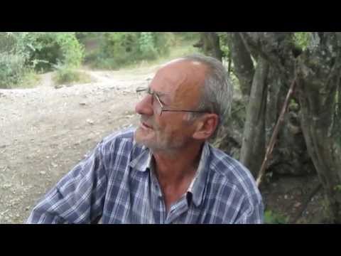 საყდრისში აბესალომ სელიმაშვილი   12 08 2014