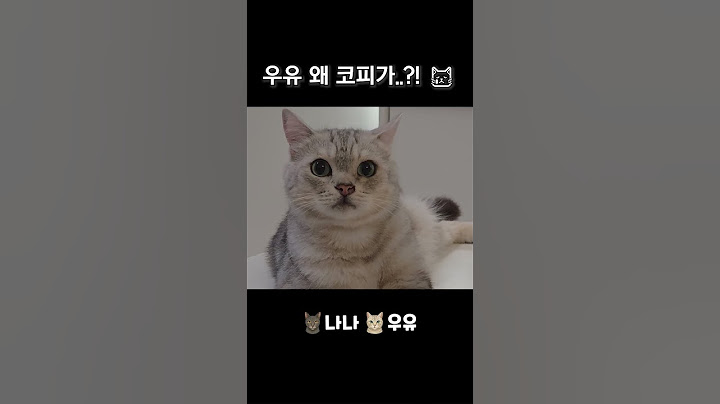 아니이짜식아어쩌다가코피가나어디아픈거아니지??🥲 귀엽긴해