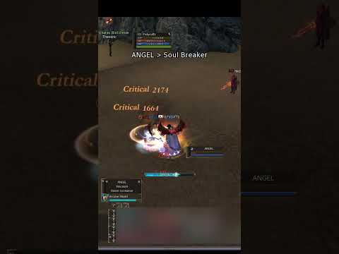 Lineage II AMERIKA Arcane Shield Will Not Save You - Amerika High Five PvP