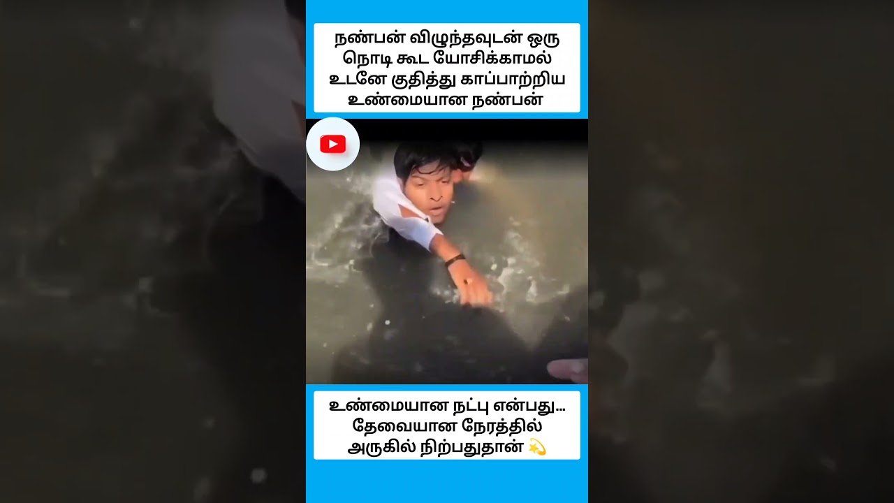 உண்மையான நட்பு என்பது… தேவையான நேரத்தில் அருகில் நிற்பதுதான் 💫 #shorts
