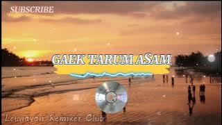 MINANG GAEK TARUM ASAM🏝LAGU JOGET TERBARU REMIXZ ZHELO APETATU🏝