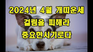 2024년 4월 개띠 운세  걸림을 피해라 중요한시기로다