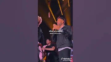 لا ملامه حماقي 