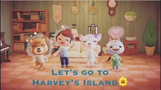 Animal Crossing "Let's go to Harvey's Island!" / あつ森　「パニーの島で映えてみた！」