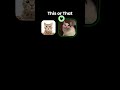 oiia oiiq uiia uiia cat song tutorial