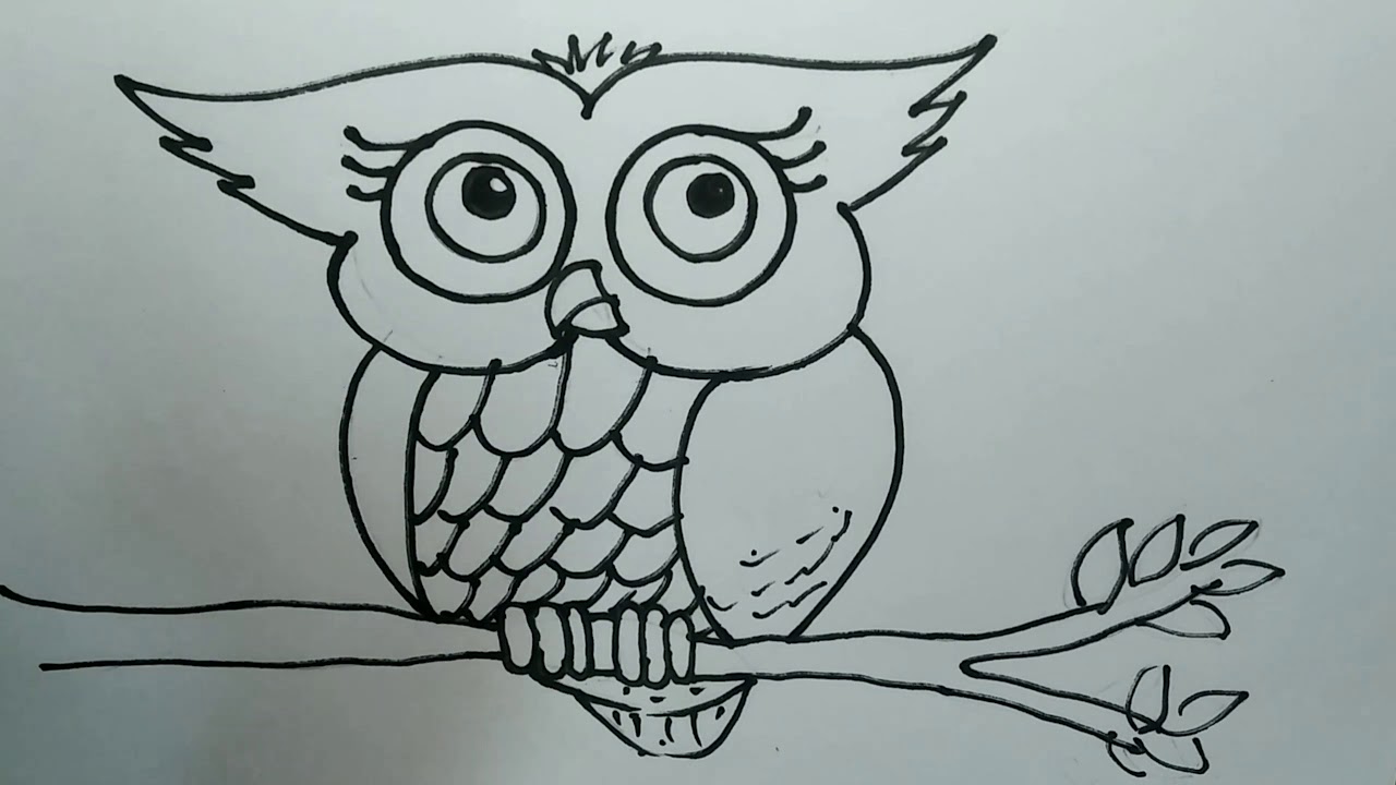 How to draw an owl - YouTube