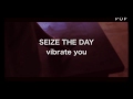 vibrate you 【たいぽん】【SEIZE THE DAY】 歌詞動画