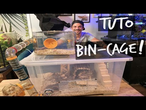 Vidéo: Comment Faire Une Cage De Hamster Bricolage