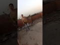احمد حريقا
