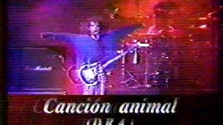 Video thumbnail of "El Gran Concierto-Soda Stereo-Canción Animal-Bogotá 1991"