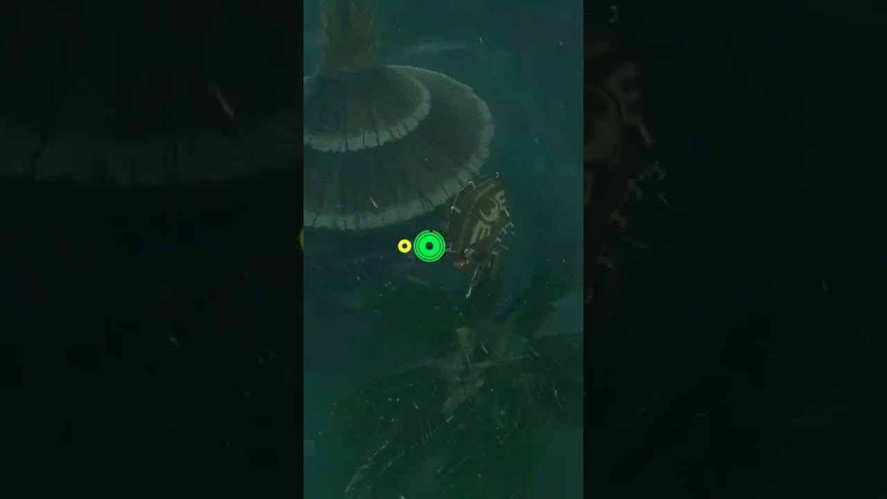 Hardest Korok Seeds in Breath of the Wild 