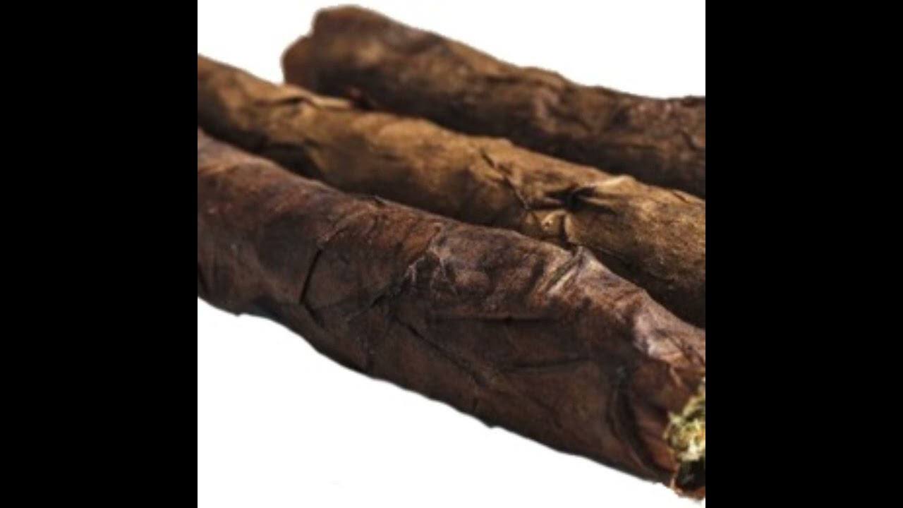 163ONMYNECK - bw (prod. Apollo) [slowed]