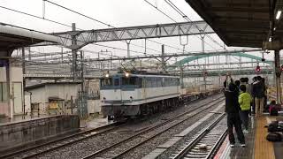 【配給列車】EF65 2095+空コキ 大宮 通過