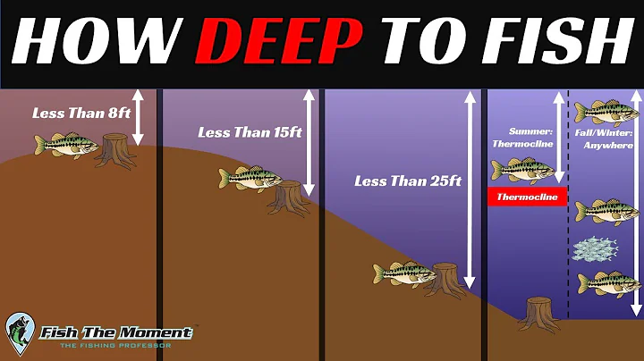 The Most Important Video About Offshore Bass Fishi...