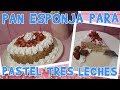 PAN ESPONJA PARA PASTEL TRES LECHES