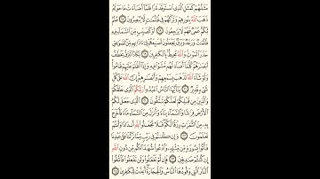 القران الكريم كاملا مقسم الى صفحات بصوت الشيخ مشارى العفاسى الصفحه رقم004