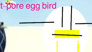 homemade intros: egg bird